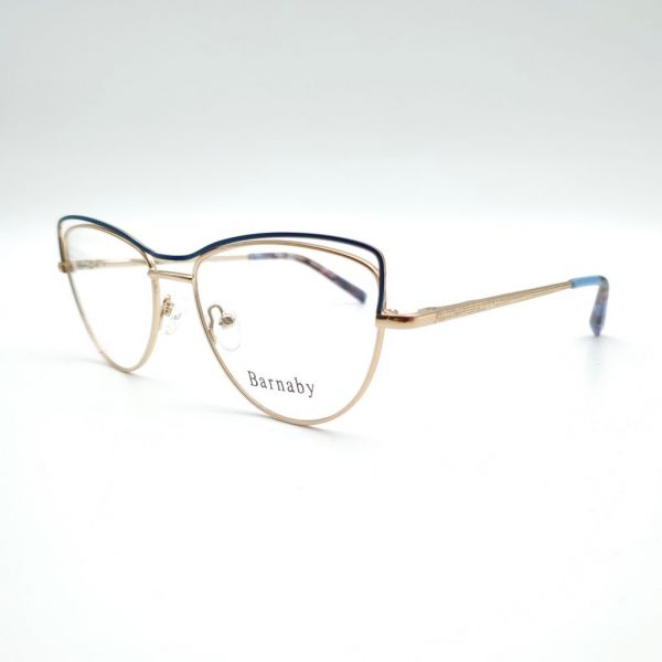 Barnaby MW2011 C4