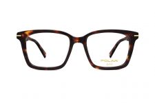 POLAR Gold 02 428